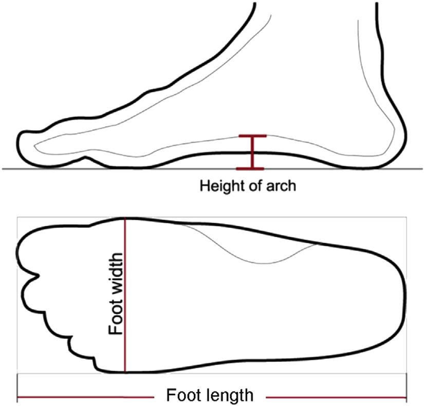 How to Measure Your Feet Sizzey