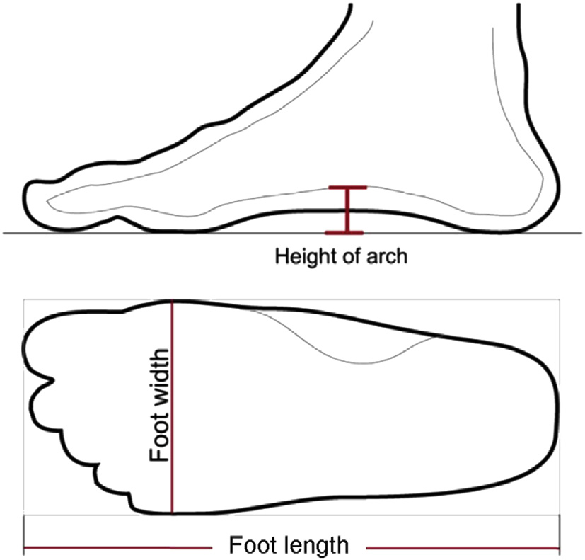 Measure Feet